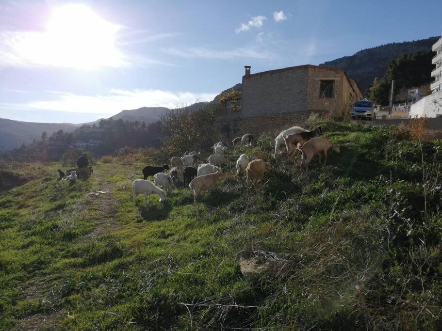 Casa Lourdes Yeste Exterior foto